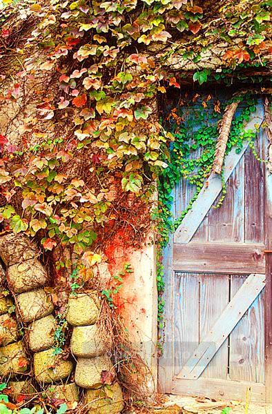 庭のドアのリアルなオリジナル油絵